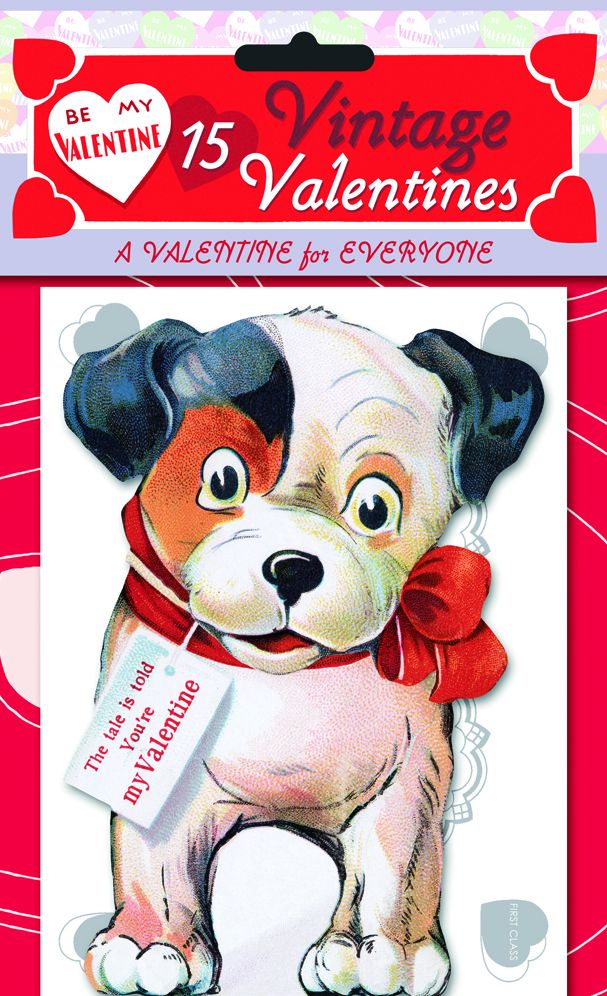 A Valentine For Everyone: 15 Die-Cut Valentines: 15 Die-Cut Cards in Bag with Decorated Envelopes