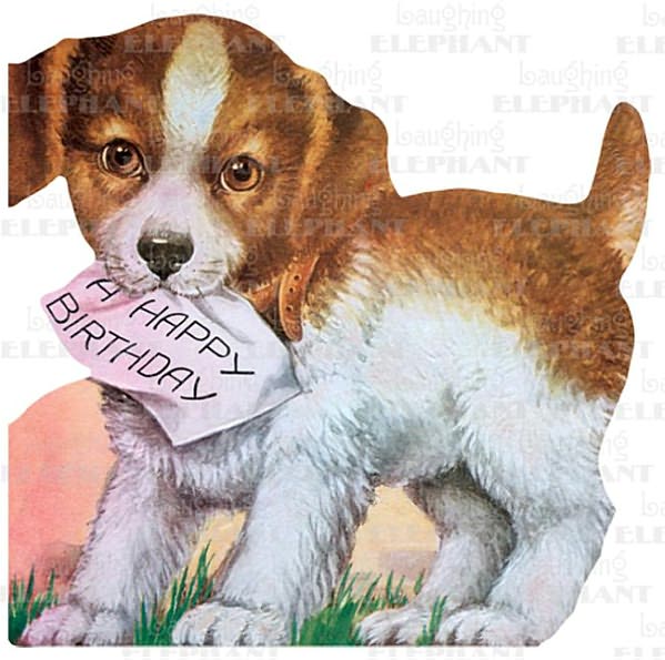 Puppy & Birthday Note - Greeting Card