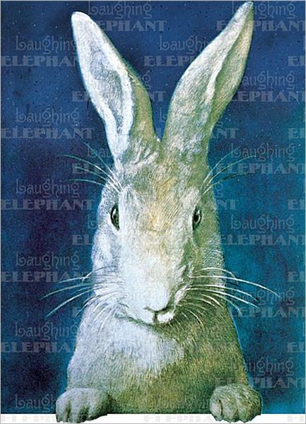 Rabbit Looking - Birthday Greeting Card