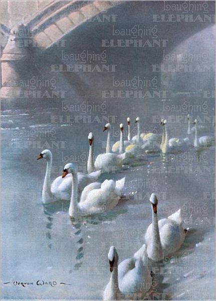 Swans Under Bridge - Greeting Card