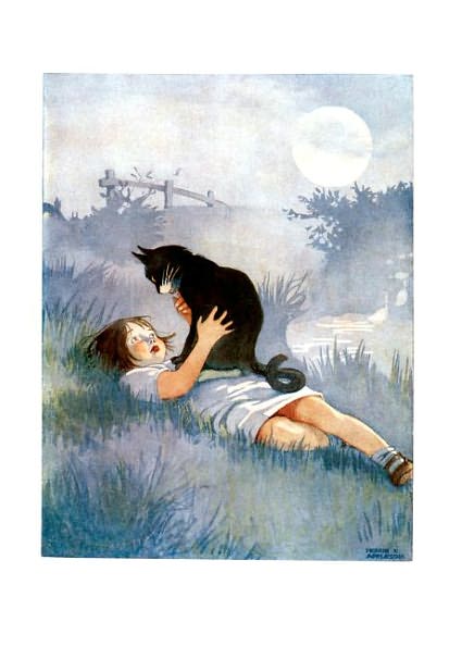 Girl Talking to Her Cat - Friendship Greeting Card (6 Cards Individually Bagged W/ Envelopes and Header)