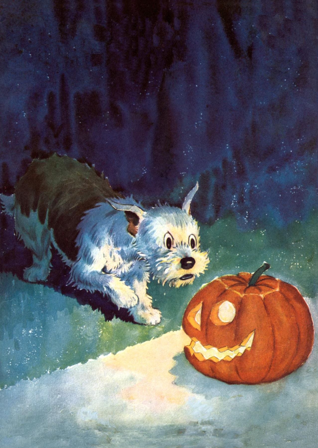 Dog Startled by Jack-O-lantern - Halloween Greeting Card (6 Cards Individually Bagged W/ Envelopes and Header)