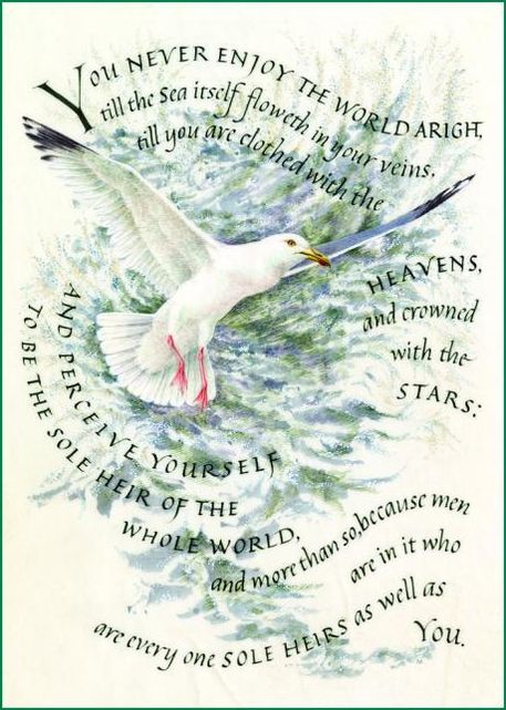 Marie Angel Seagull (6 Cards Individually Bagged W/ Envelopes and Header)