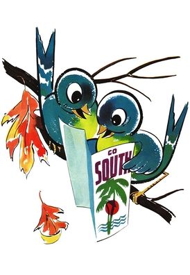 Birds Bon Voyage Card (6 Cards Individually Bagged W/ Envelopes and Header)