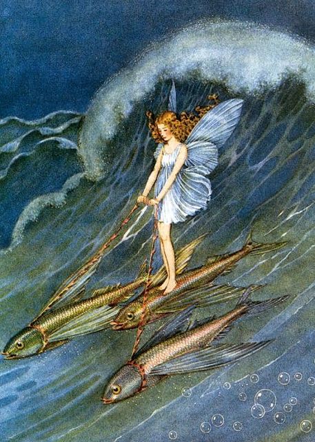 Fairy Riding Fish Blank Greeting Card [With 6 Envelopes]