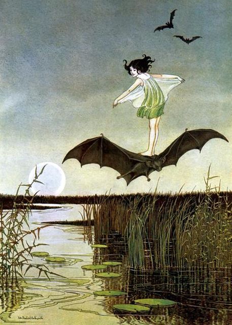Little Witch Riding Bat Greeting Card [With Envelope]