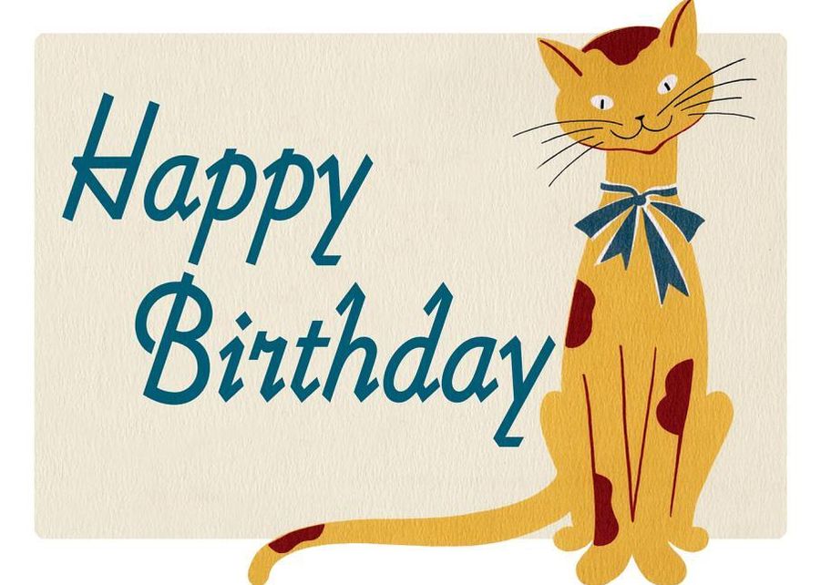 Smiling Cat Birthday Card [With Envelope]
