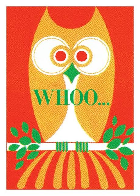 Whoo! Owl Birthday Card [With 6 Envelopes]