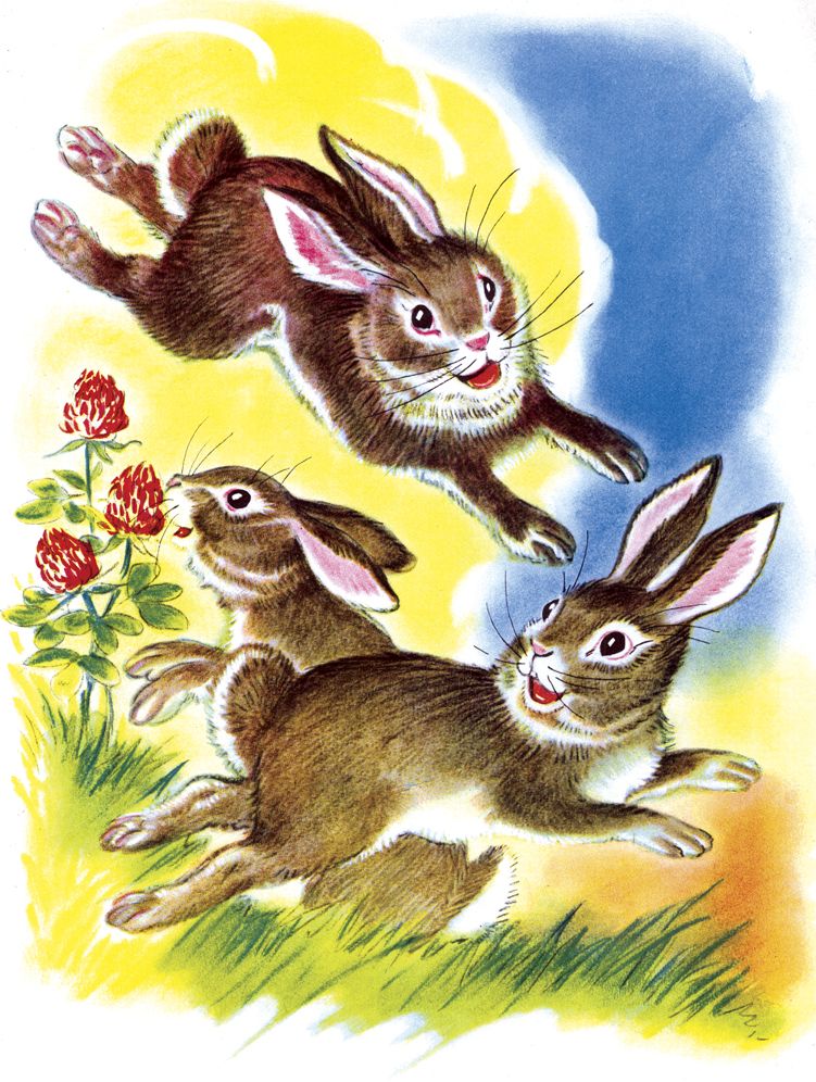 Have A Fun-Filled Birthday - Frisky Bunnies Birthday Card