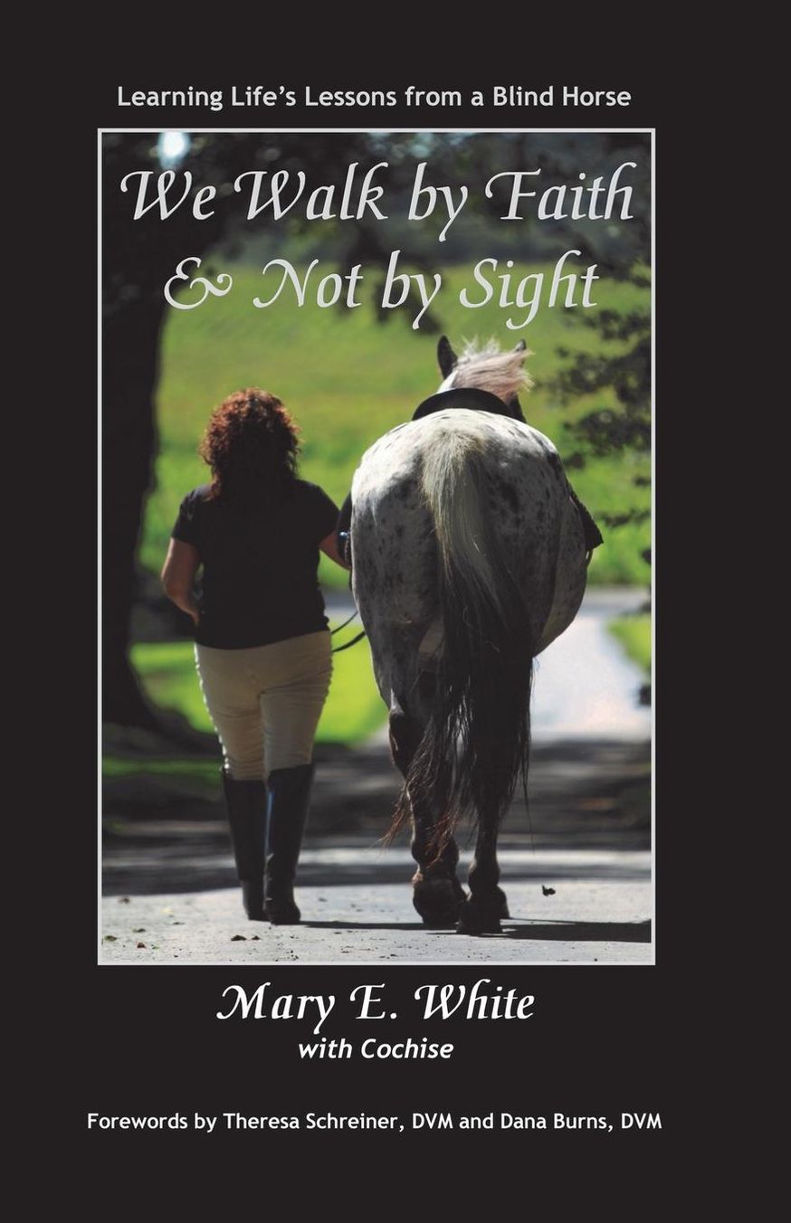 We Walk by Faith and Not by Sight: Learning Life's Lessons from a Blind Horse