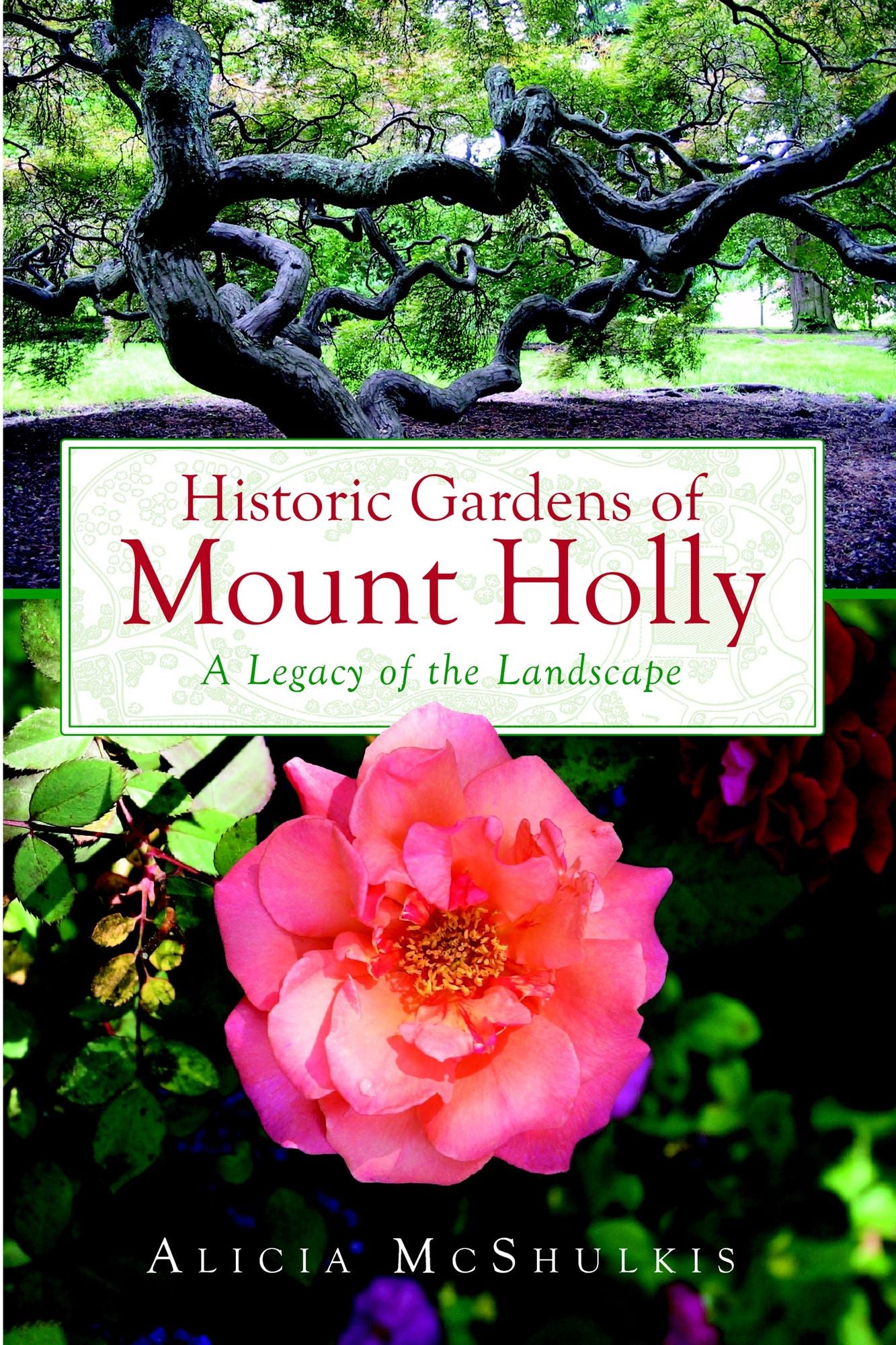Historic Gardens of Mount Holly: A Legacy of the Landscape