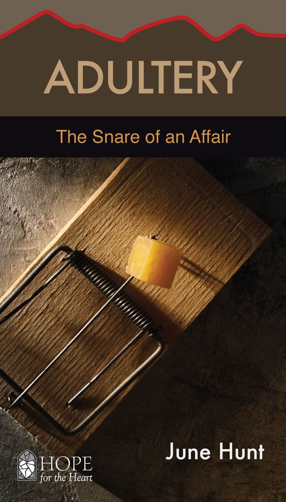 Adultry: The Snare of an Affair
