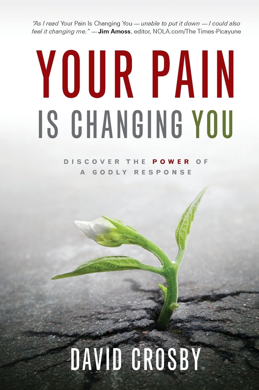 Your Pain Is Changing You: Discover the Power of a Godly Response