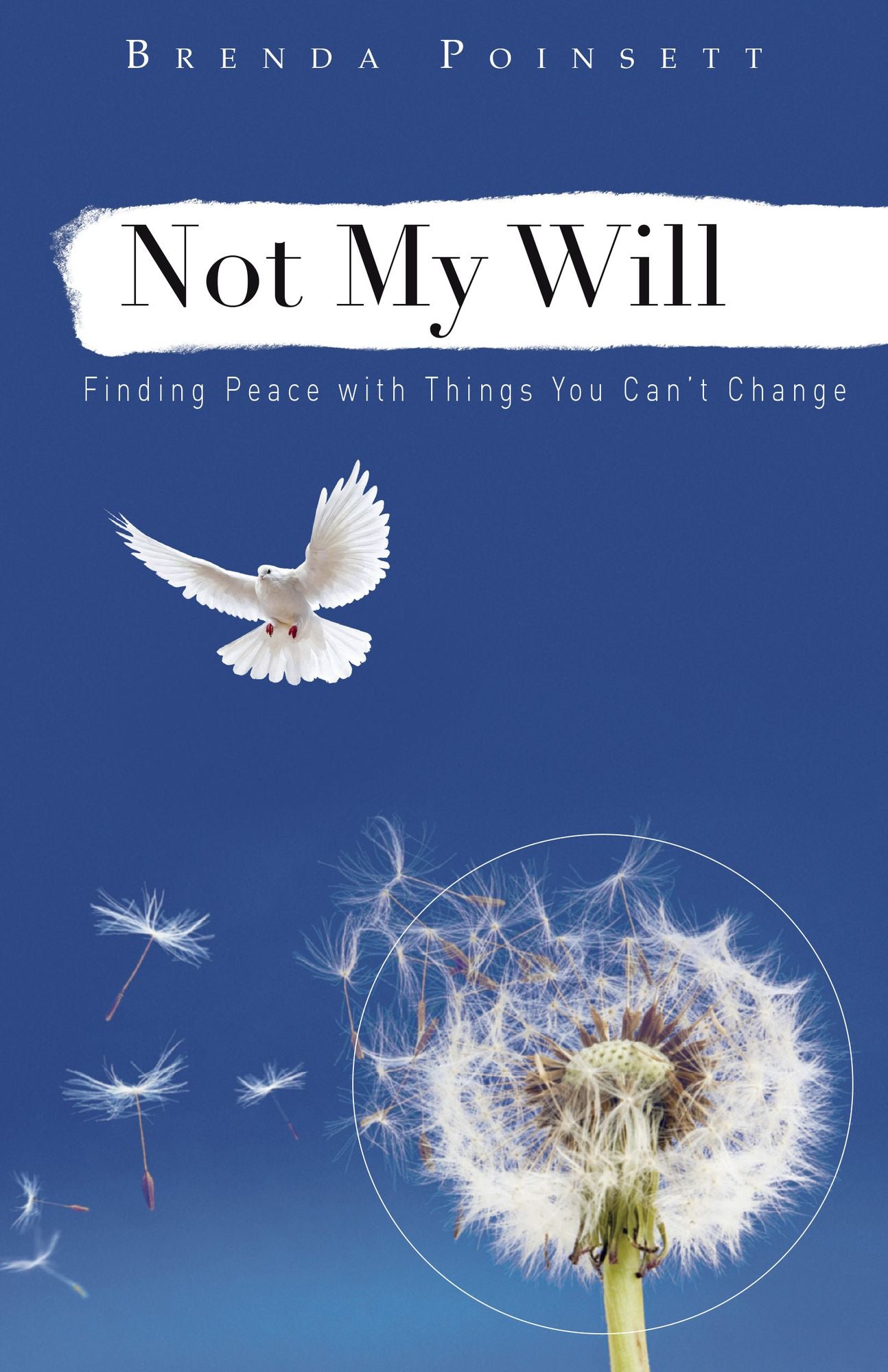 Not My Will: Finding Peace with Things You Can't Change
