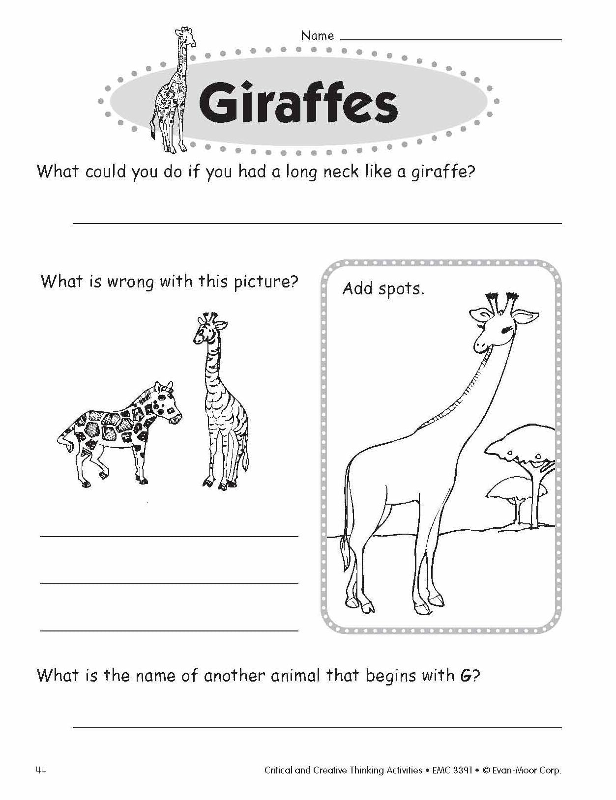 Critical and Creative Thinking Activities, Grade 1
