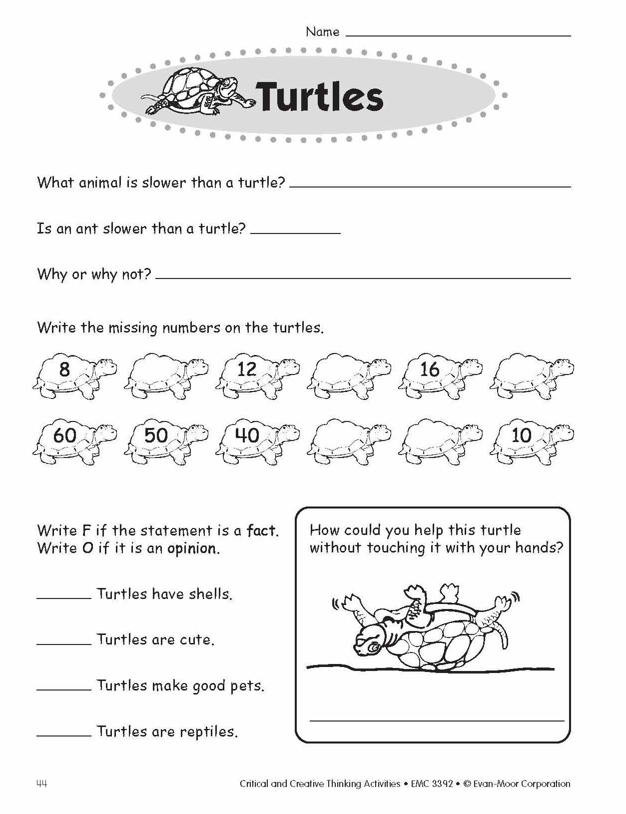 Critical and Creative Thinking Activities, Grade 2