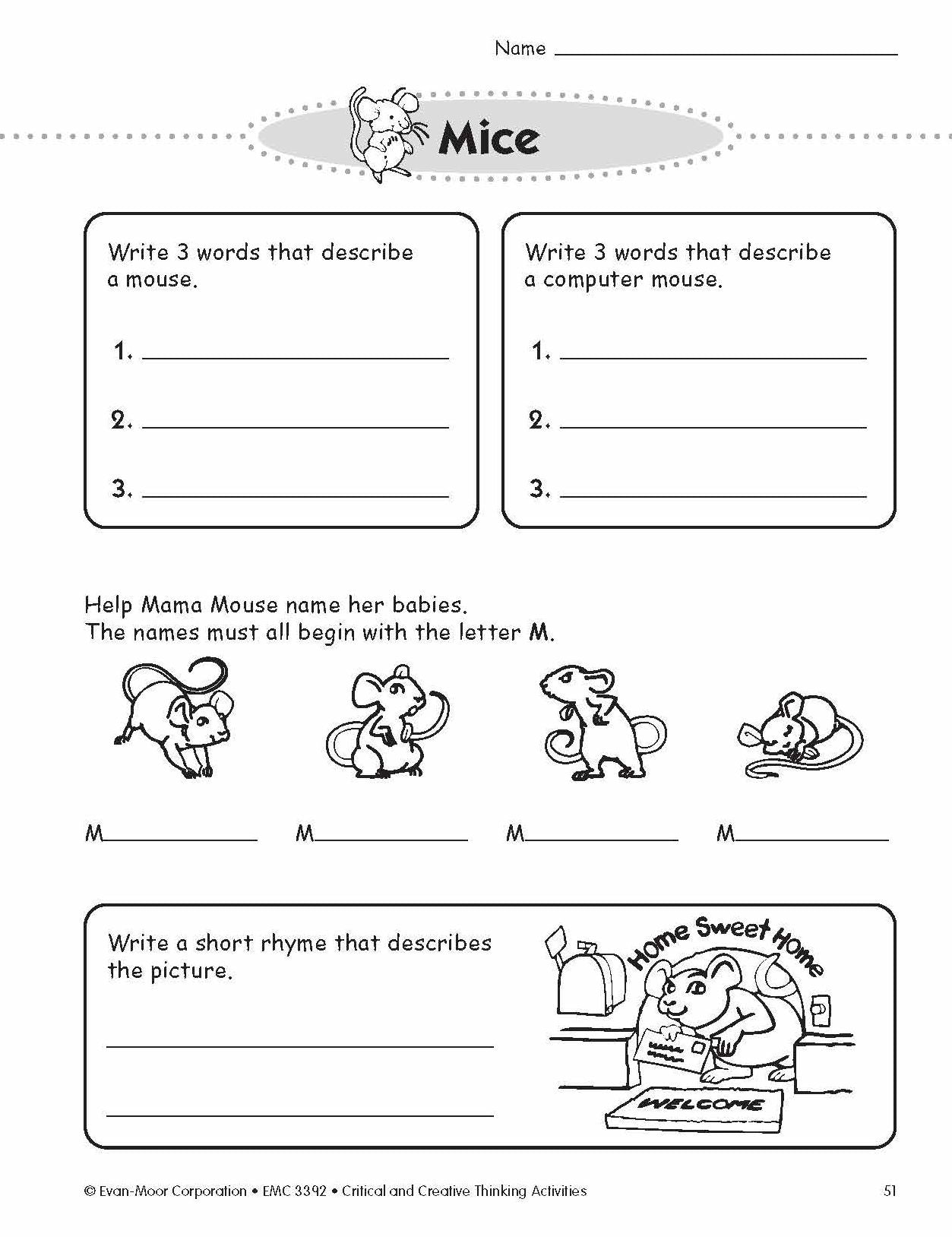 Critical and Creative Thinking Activities, Grade 2