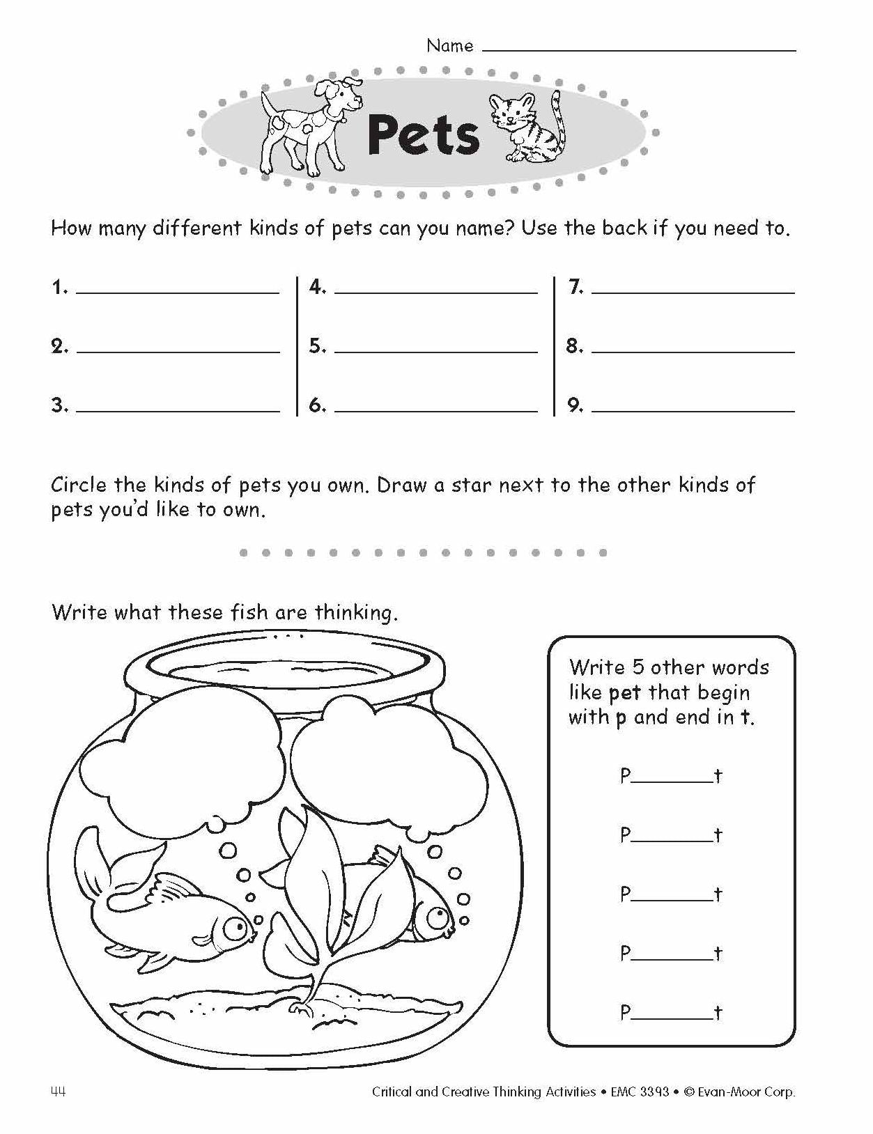 Critical and Creative Thinking Activities, Grade 3
