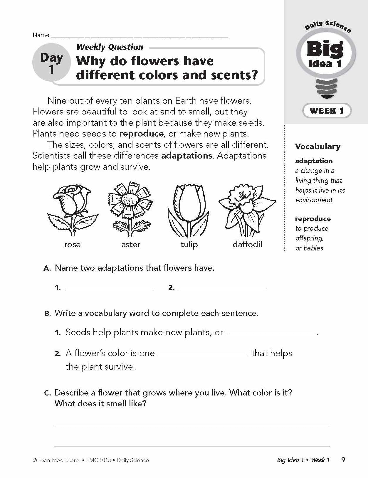 Daily Science, Grade 3