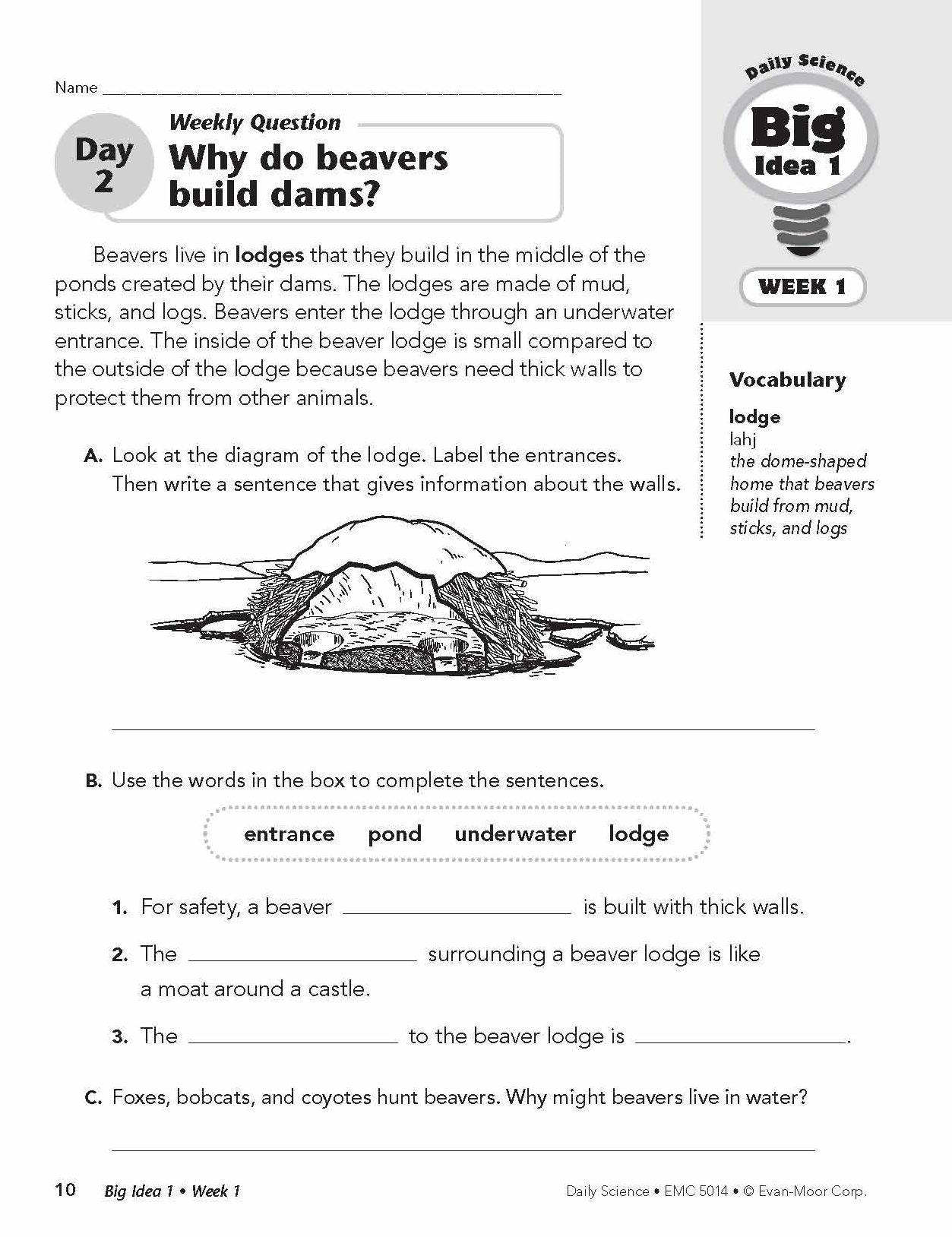 Daily Science, Grade 4