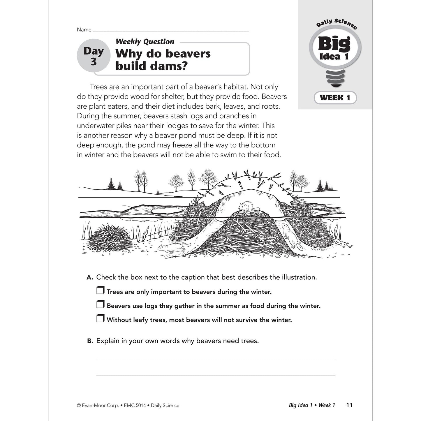 Daily Science, Grade 4