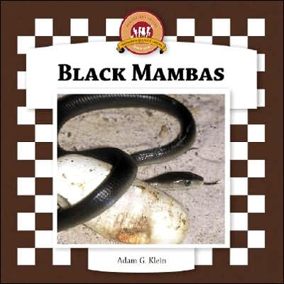 Black Mambas