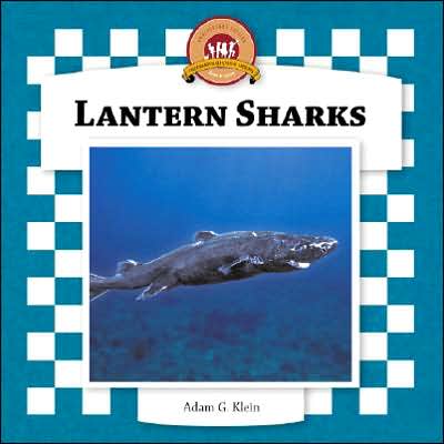Lantern Sharks