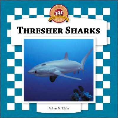 Thresher Sharks