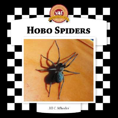 Hobo Spiders