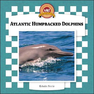 Atlantic Humpbacked Dolphins