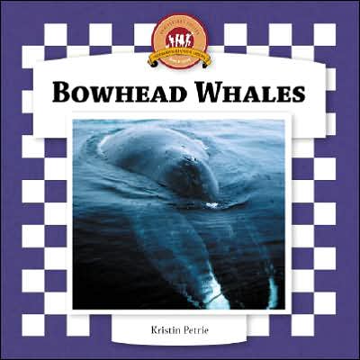 Bowhead Whales