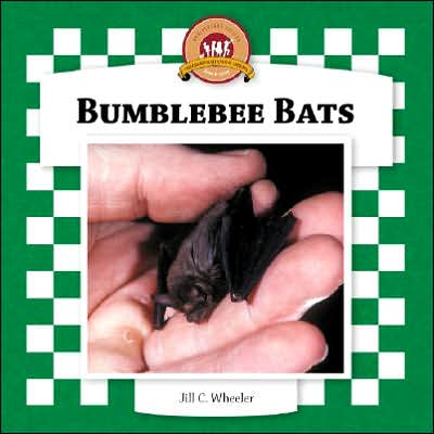 Bumblebee Bats