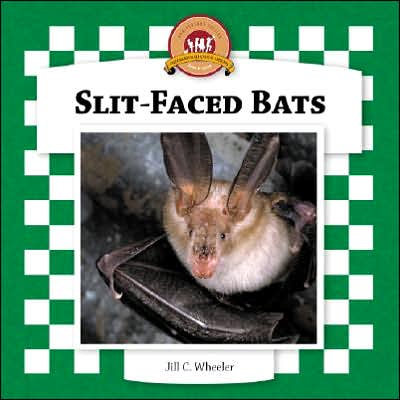 Slit-Faced Bats