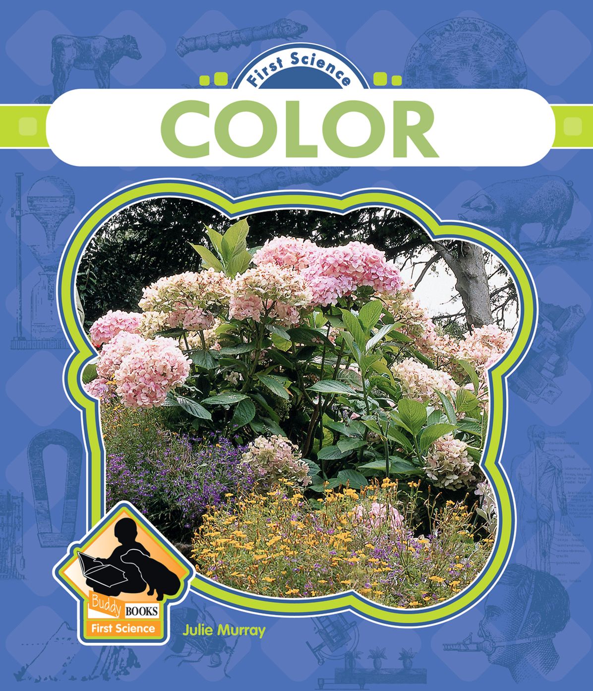 Color