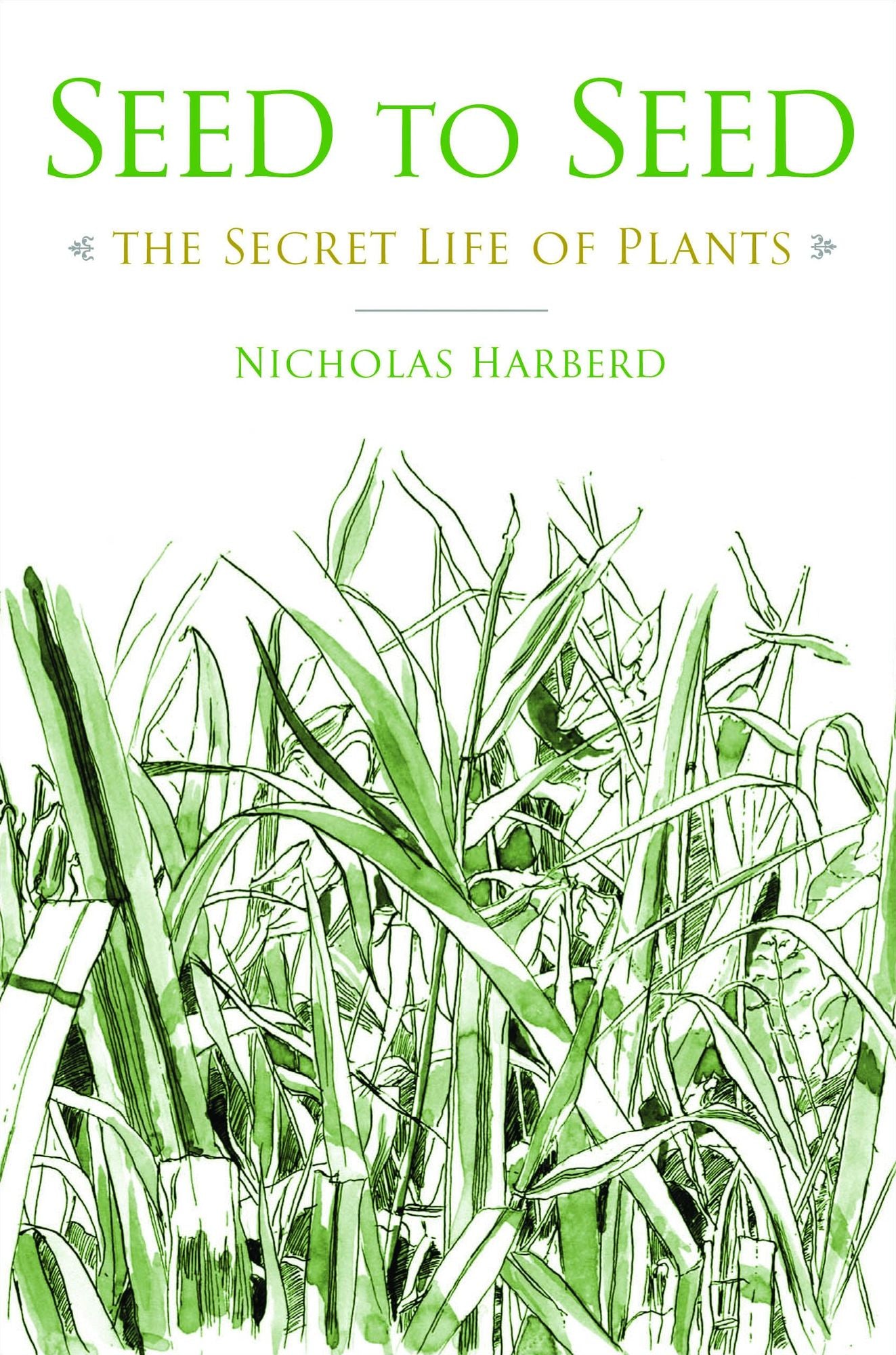 Seed to Seed