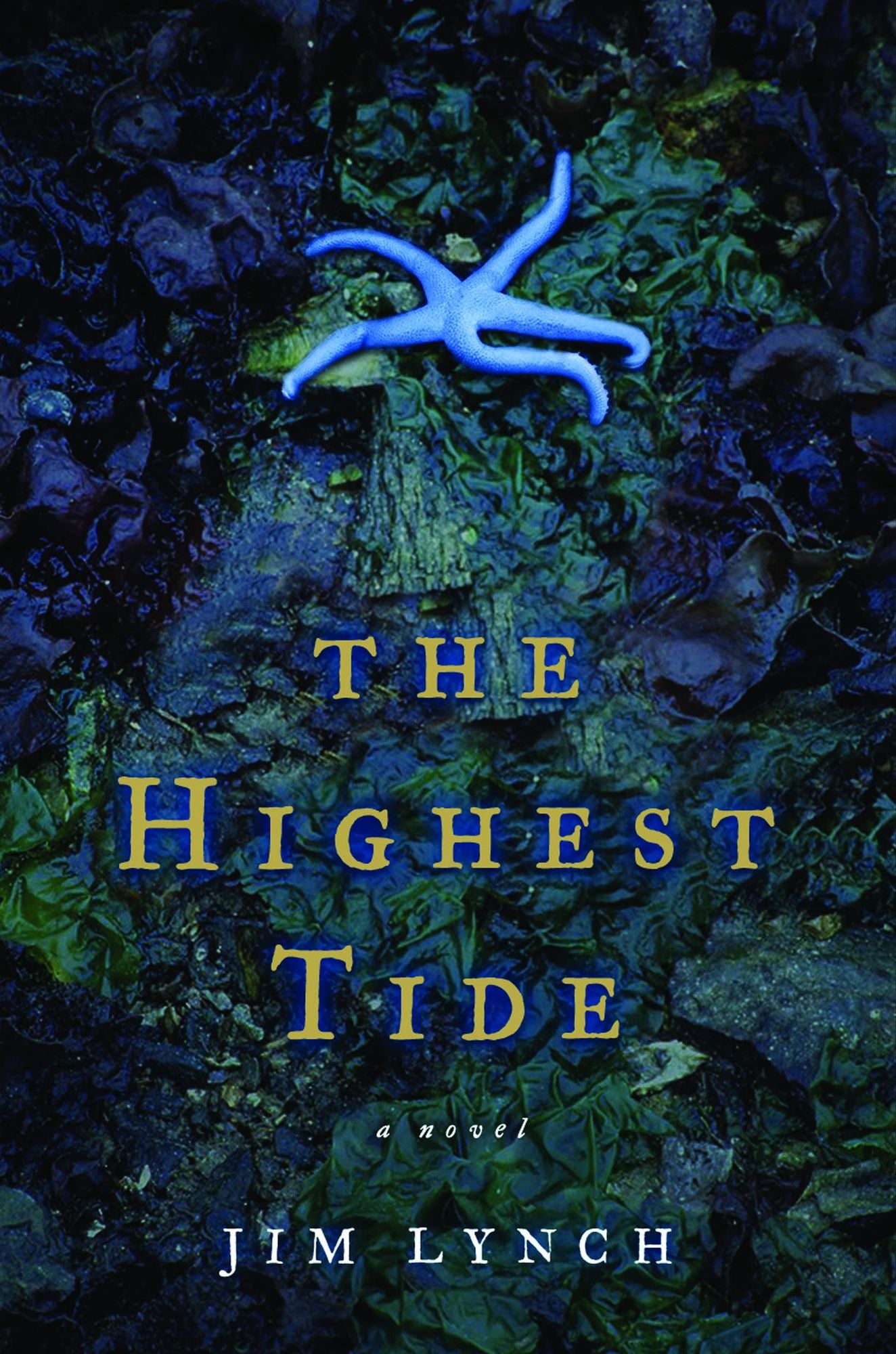 The Highest Tide: A Novel