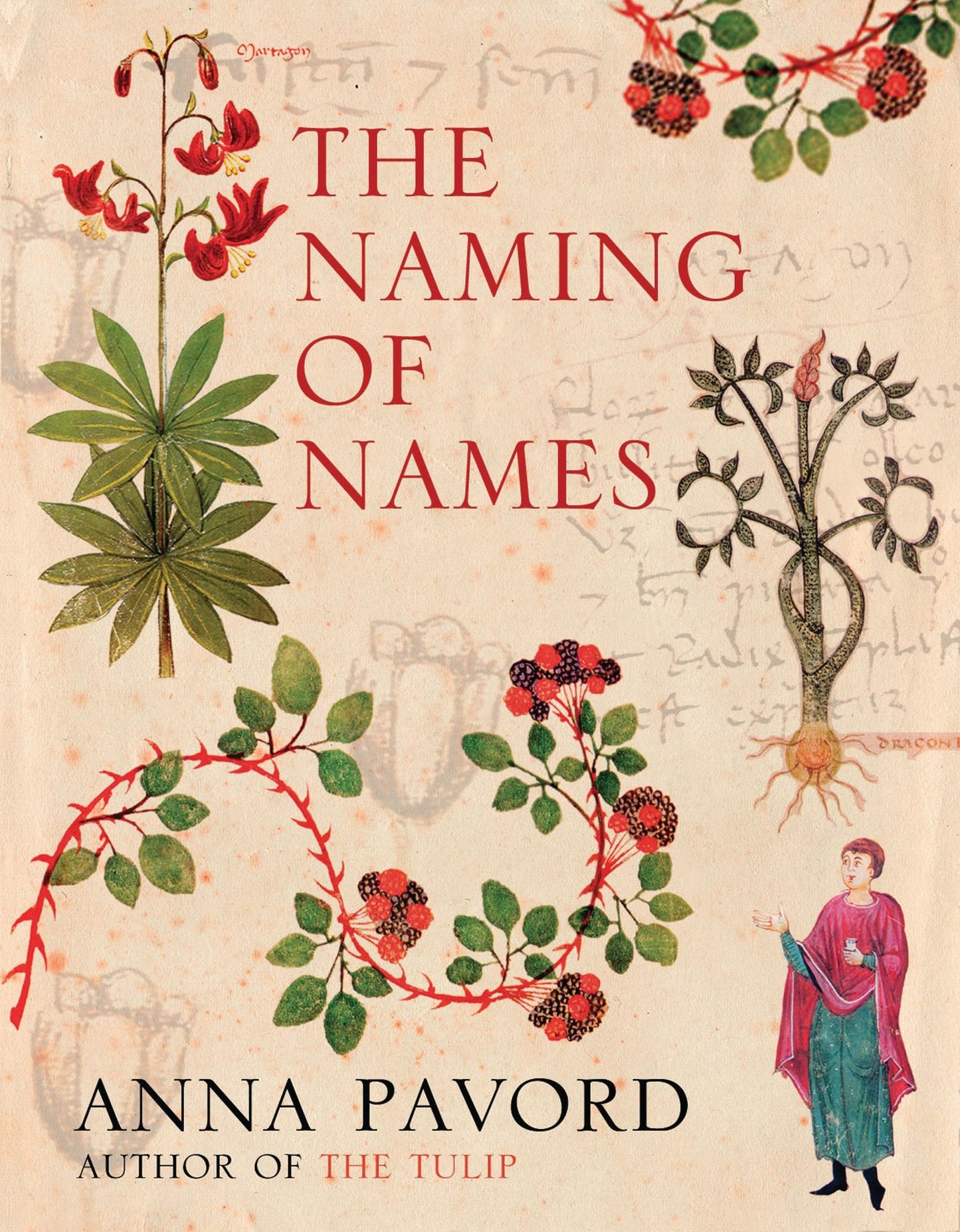 The Naming of Names: The Search for Order in the World of Plants