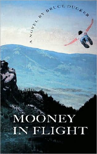 Mooney In Flight