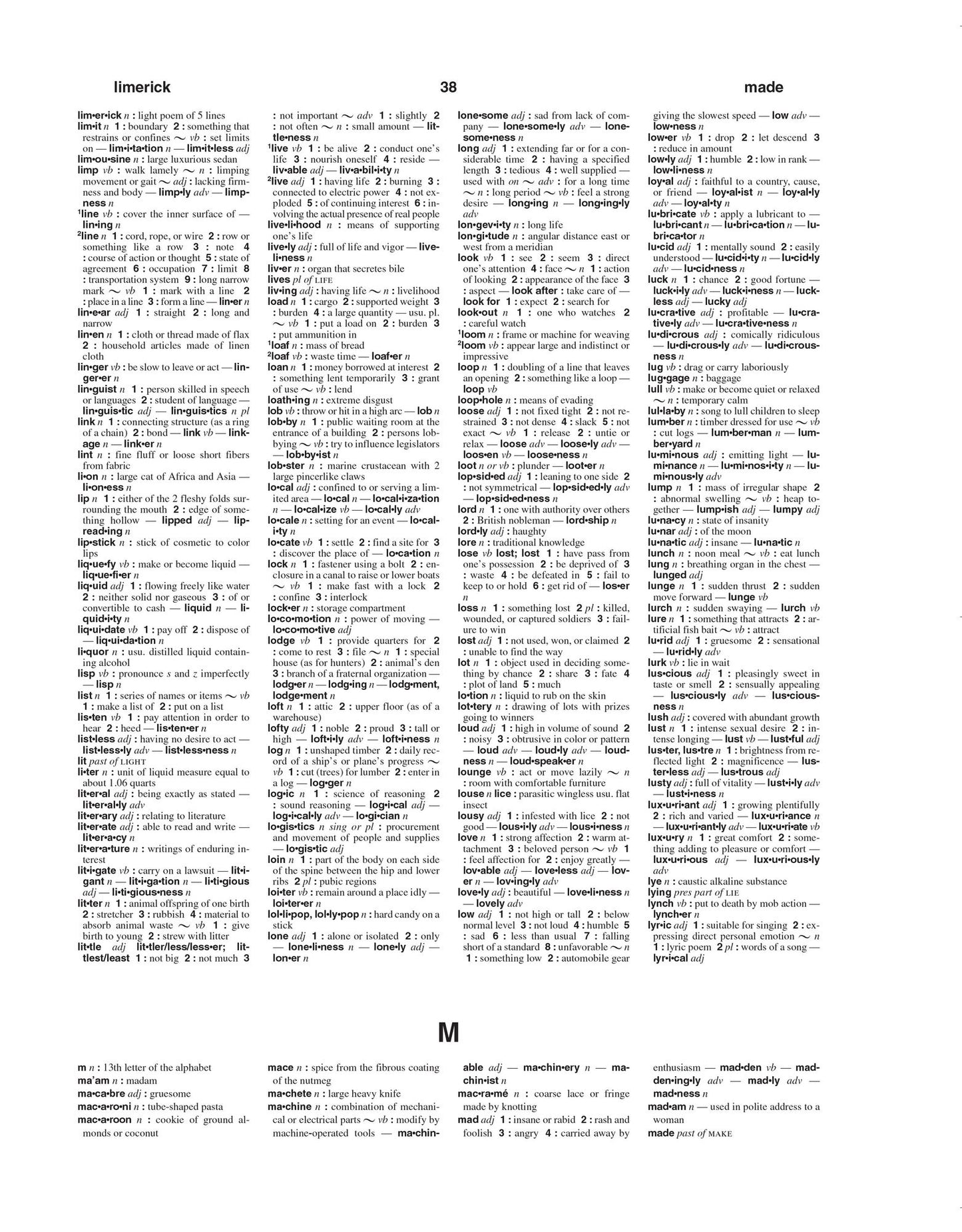 Webster's Notebook Dictionary