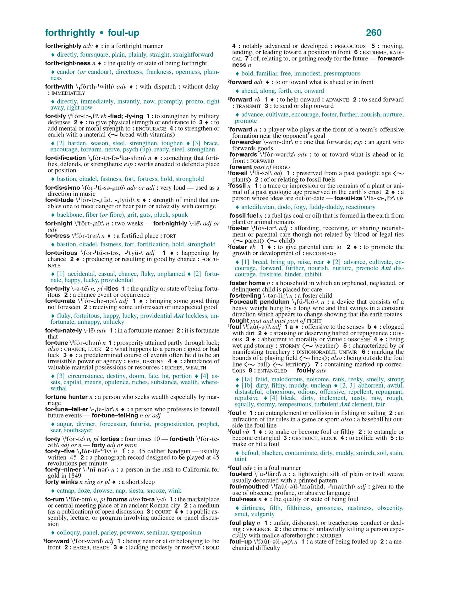 Webster's All-In-One Dictionary & Thesaurus