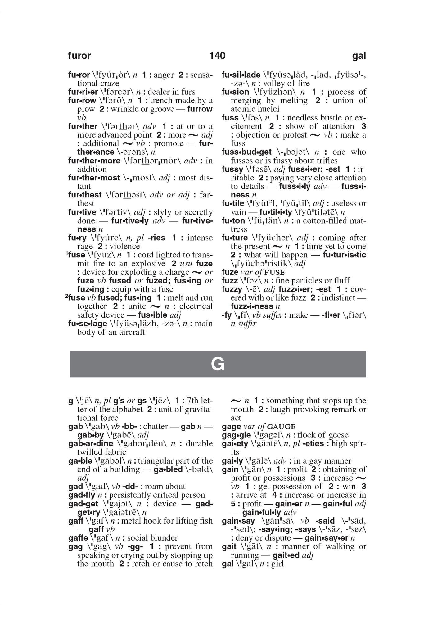 Webster's American English Dictionary