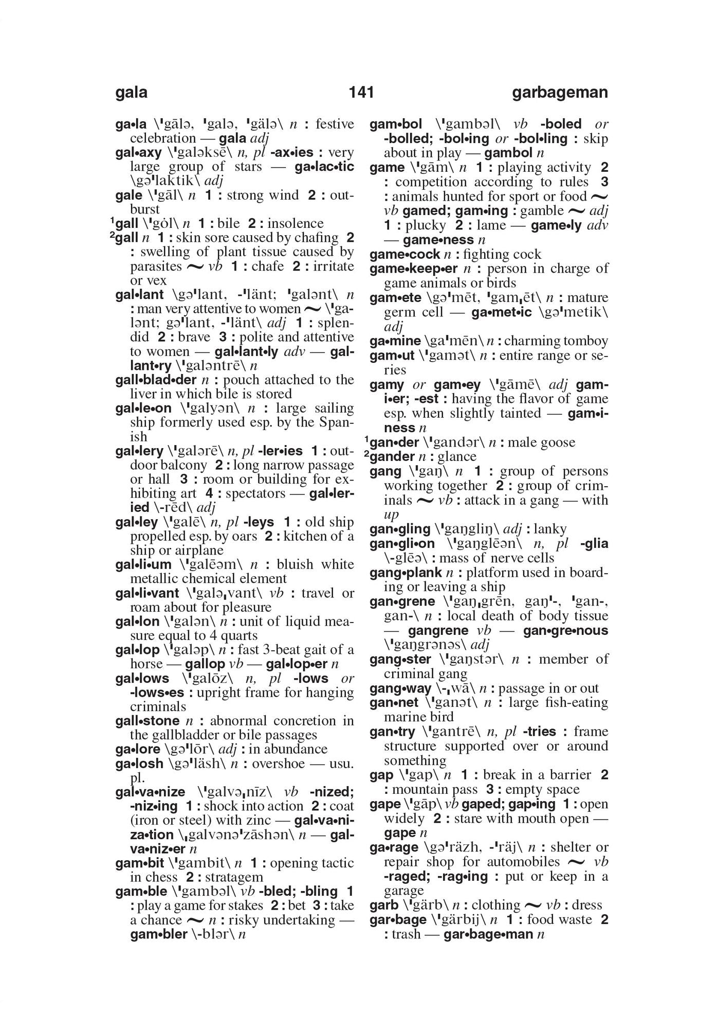 Webster's American English Dictionary