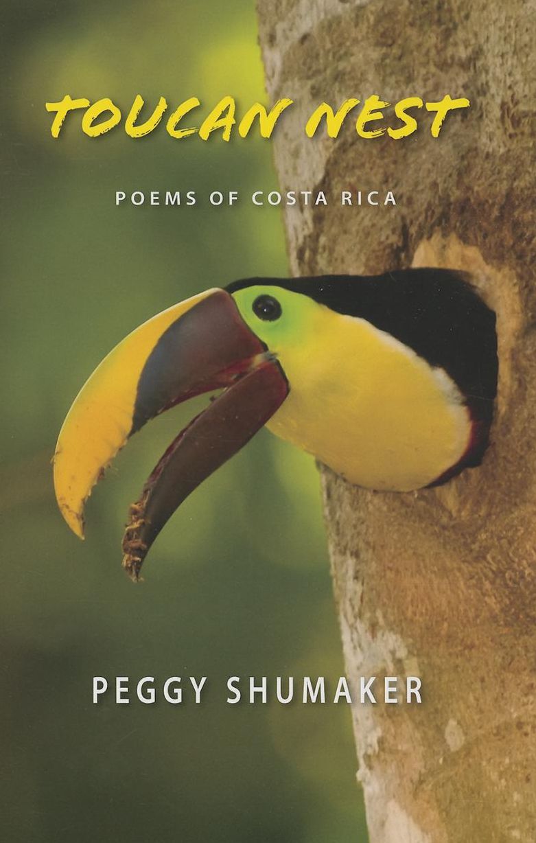Toucan Nest