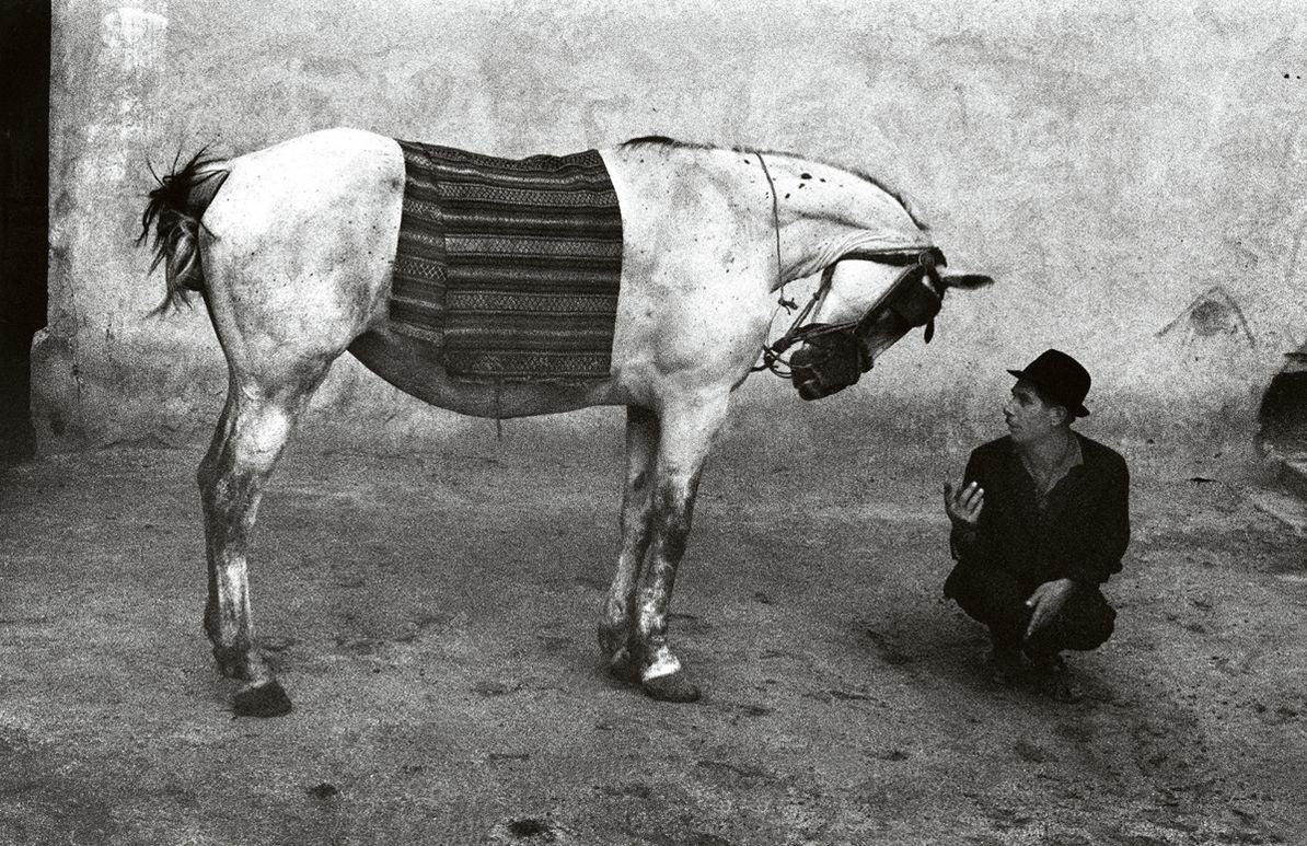 Koudelka