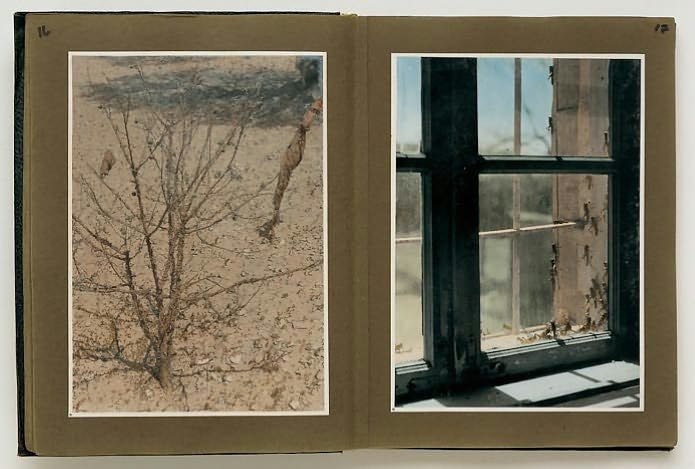 Photographic Memory