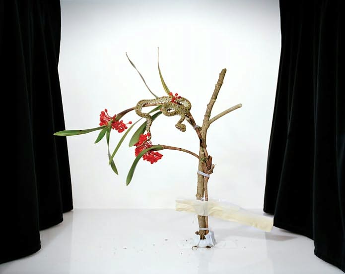 Sanna Kannisto: Fieldwork