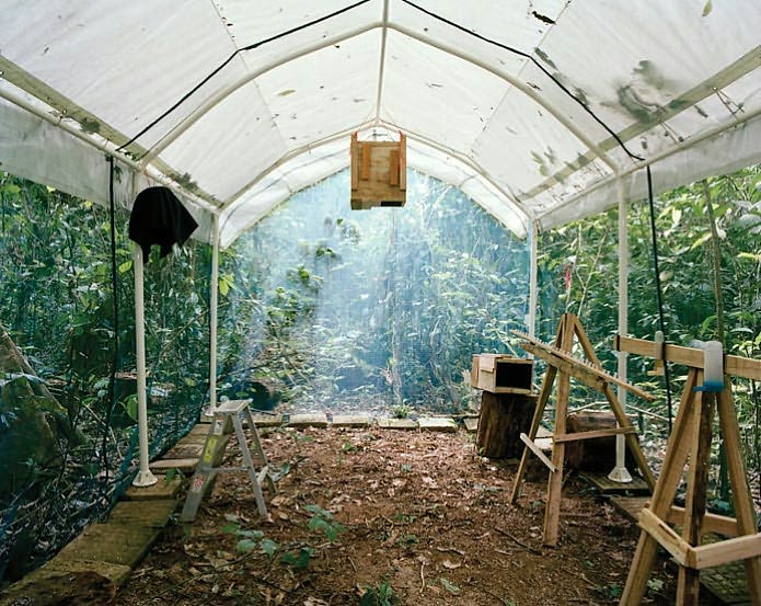 Sanna Kannisto: Fieldwork