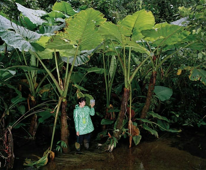 Sanna Kannisto: Fieldwork