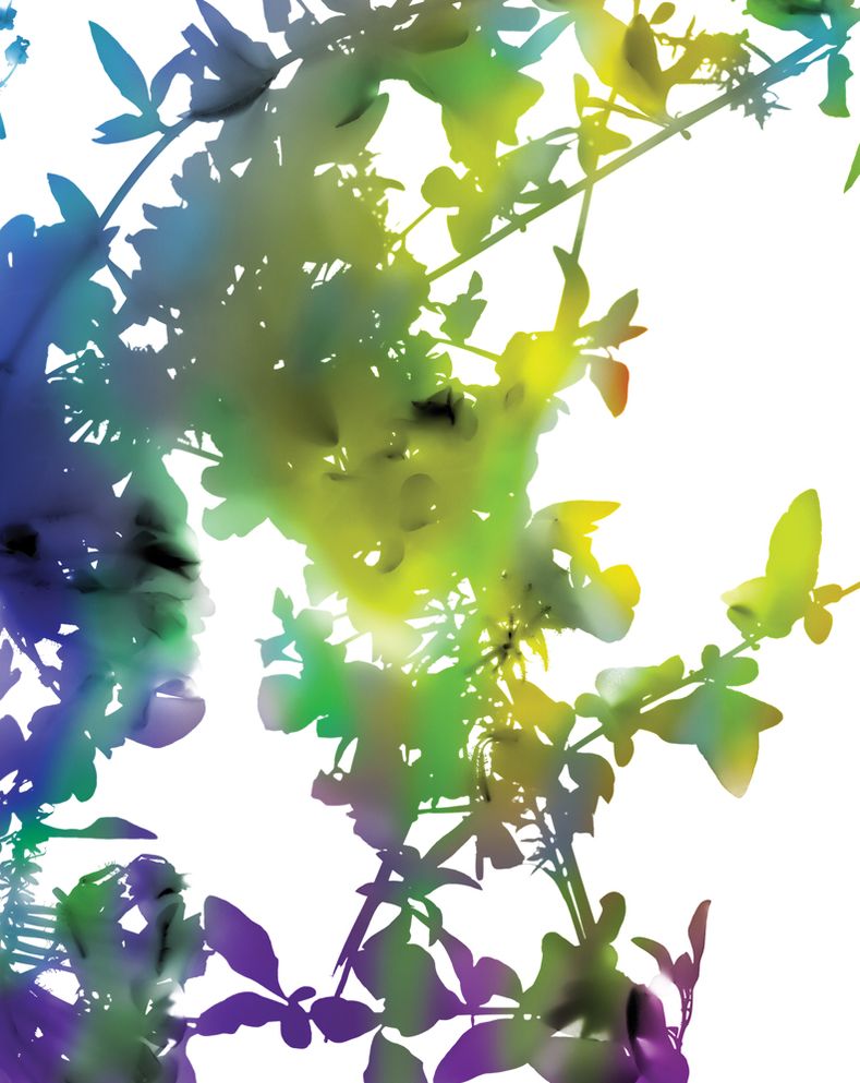 James Welling: Monograph