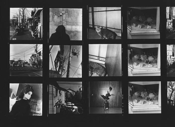 Labyrinth: Daido Moriyama